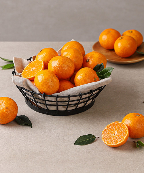 [서현상회] 제주감귤 1kg